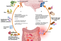 How Does Gut Health Affect Mental Health Unveiled How Does Gut Health Affect Mental Health Unveiled